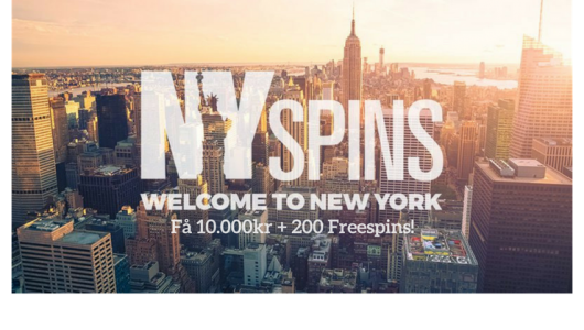 Nyspins